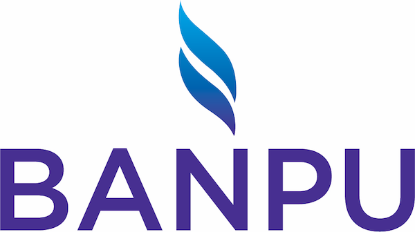 Banpu logo